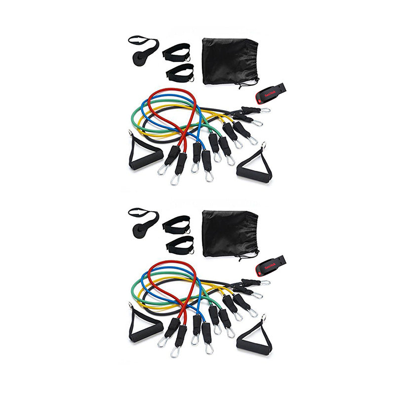 SET DE LIGAS DE RESISTENCIA + RUTINA VIRTUAL