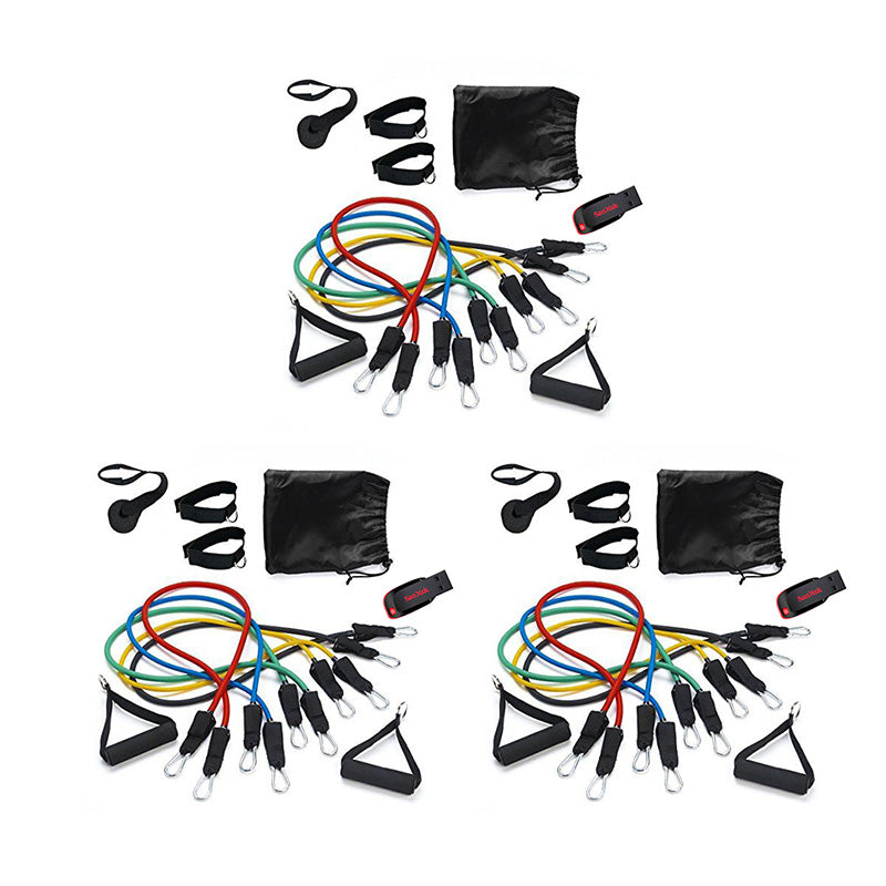 SET DE LIGAS DE RESISTENCIA + RUTINA VIRTUAL